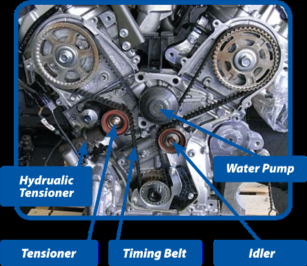 timing belt diagram